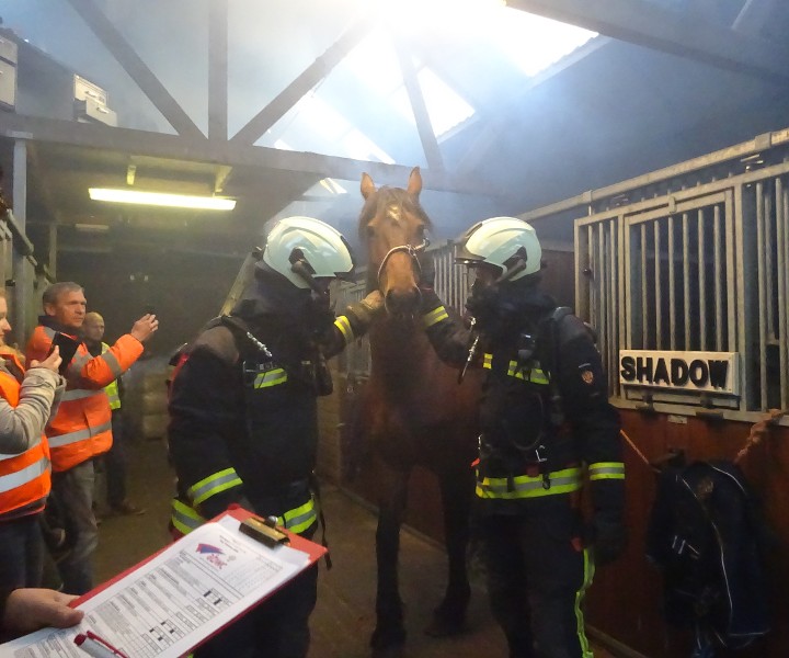 (Brand)veiligheid in het paardenbedrijf