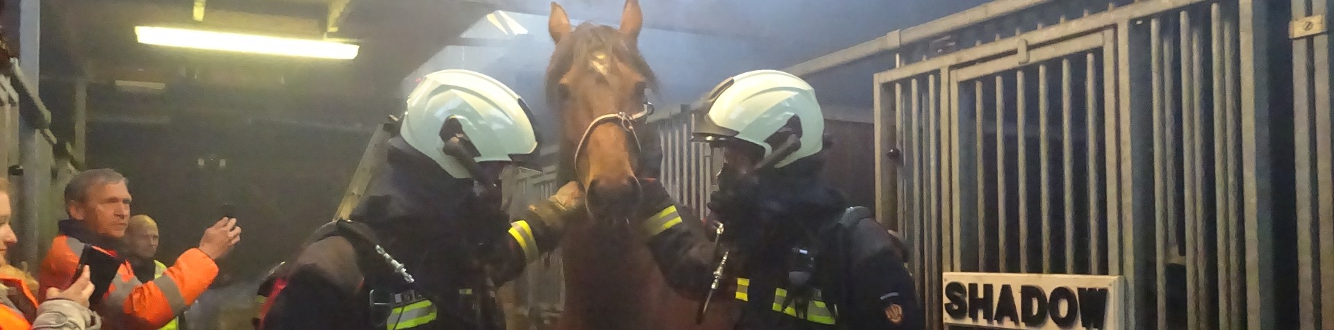  | (Brand)veiligheid in het paardenbedrijf | Detail | Projecten