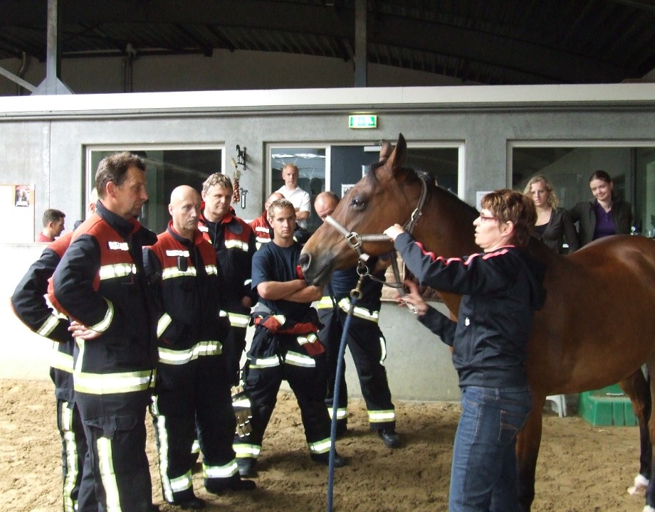  | (Brand)veiligheid in het paardenbedrijf | Detail | Projecten