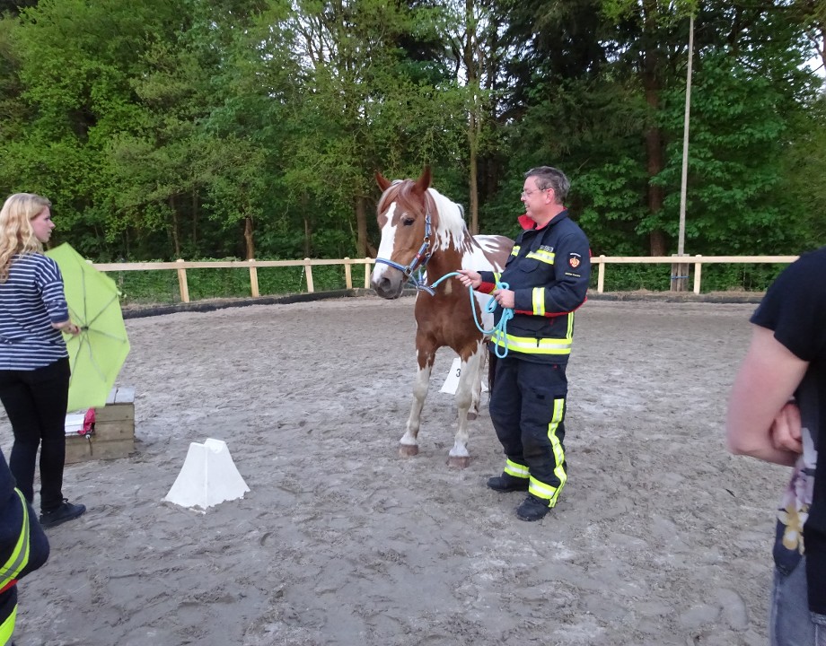  | (Brand)veiligheid in het paardenbedrijf | Detail | Projecten